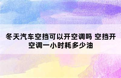 冬天汽车空挡可以开空调吗 空挡开空调一小时耗多少油